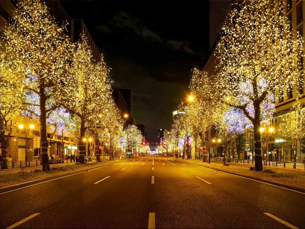 画像: ©Festival of the Lights inOsaka Executive Committee ※イメージ