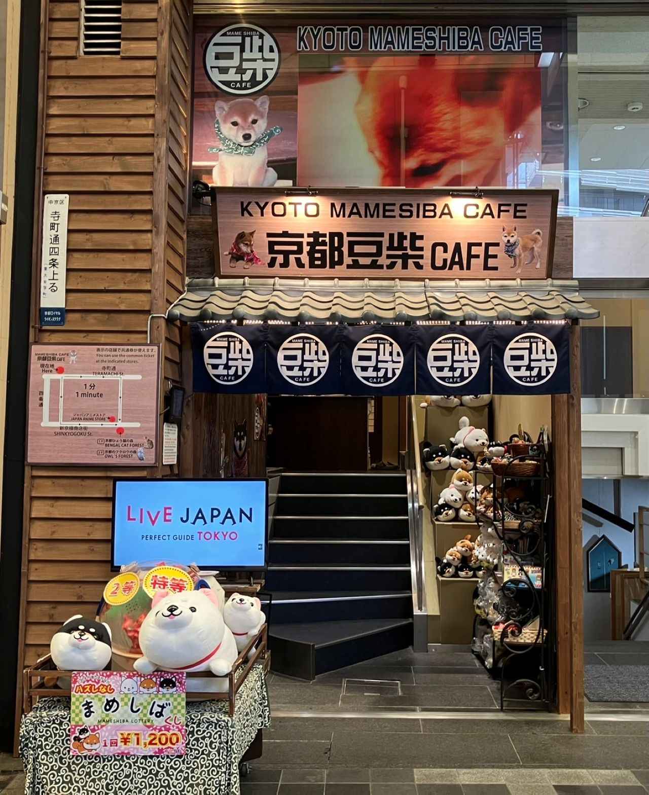 画像2: 豆柴たちに囲まれながら至福のコーヒータイムを「京都豆柴CAFÉ」