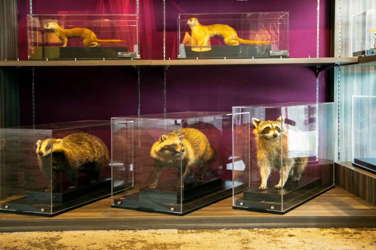 画像4: 滋賀で楽しむ絶景ドライブ！琵琶湖からグルメまでおすすめスポット9選