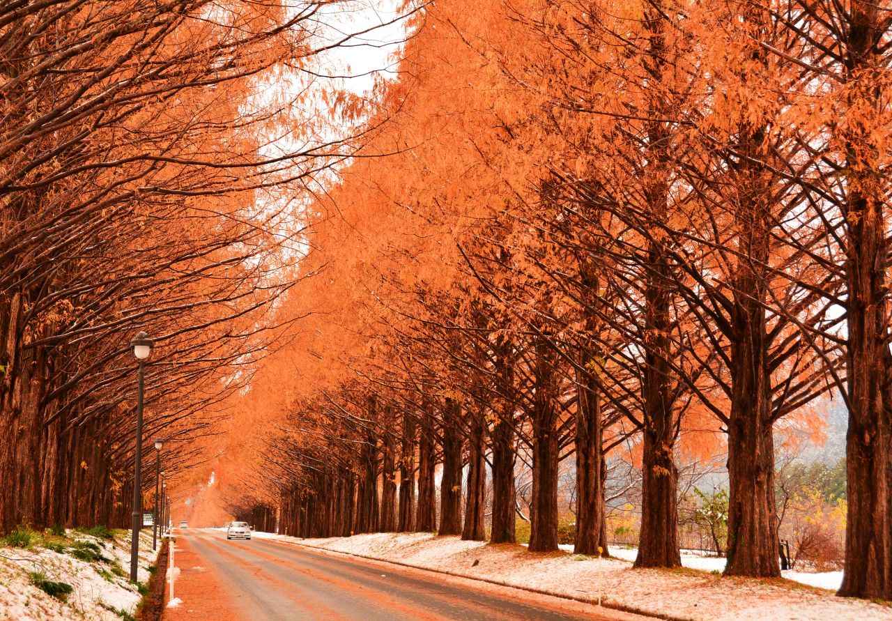 画像2: 写真提供：（公社）びわ湖高島観光協会