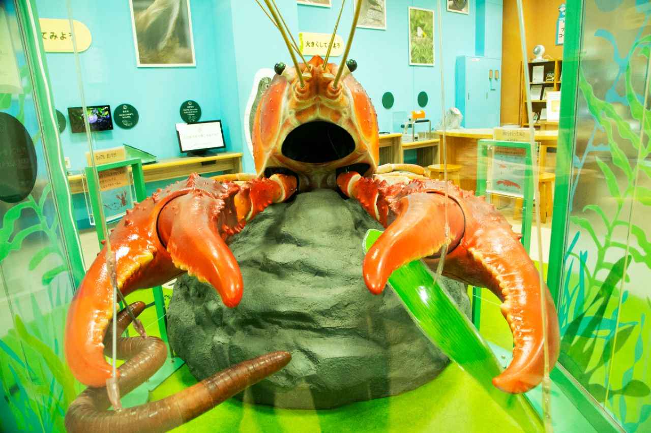 画像3: 滋賀で楽しむ絶景ドライブ！琵琶湖からグルメまでおすすめスポット9選