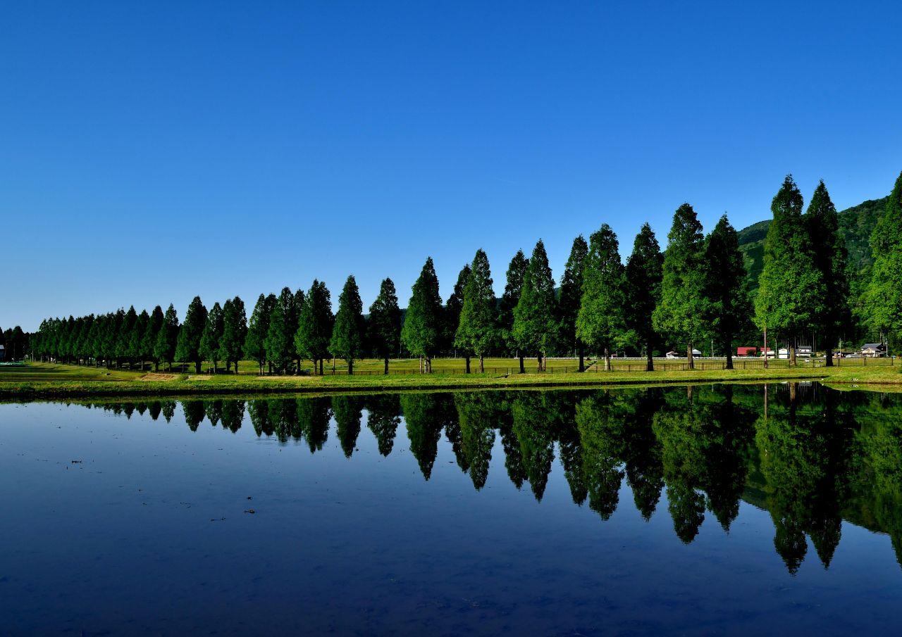 画像1: 写真提供：（公社）びわ湖高島観光協会