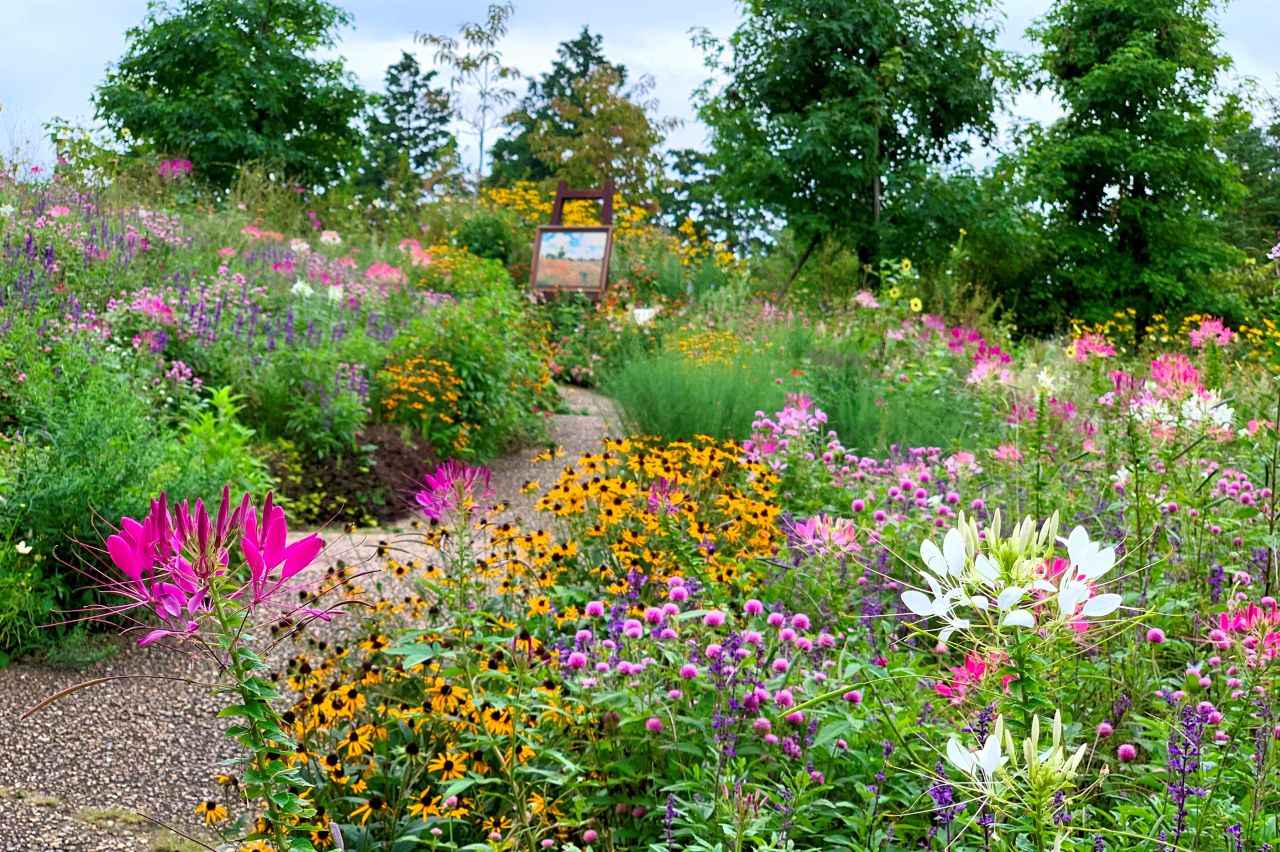 画像: ガーデンミュージアム比叡 藤の丘 ※冬季休園