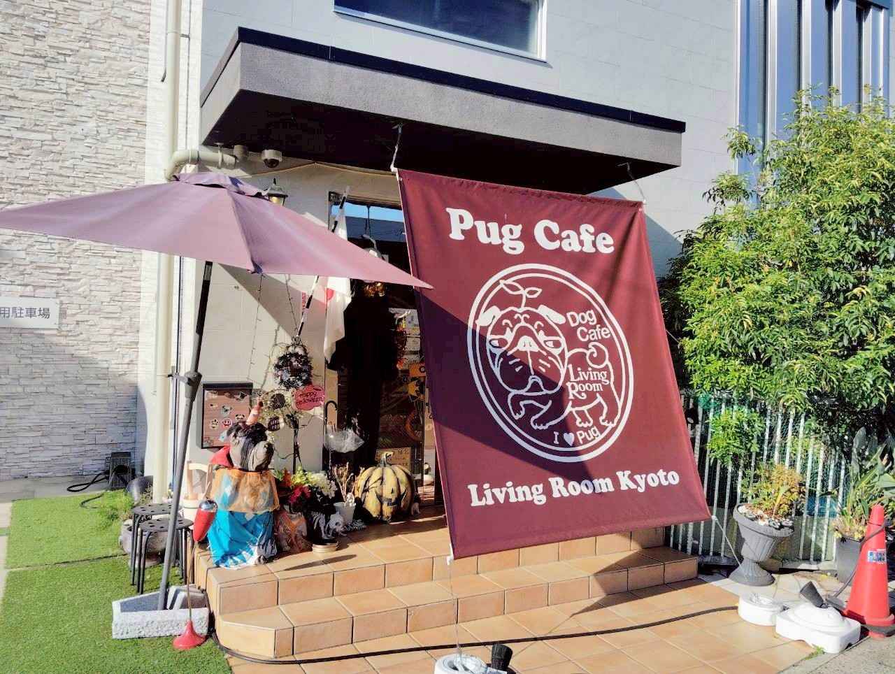 画像2: 京都のおすすめ犬カフェ5選。豆柴や大型犬と癒やしのひとときを