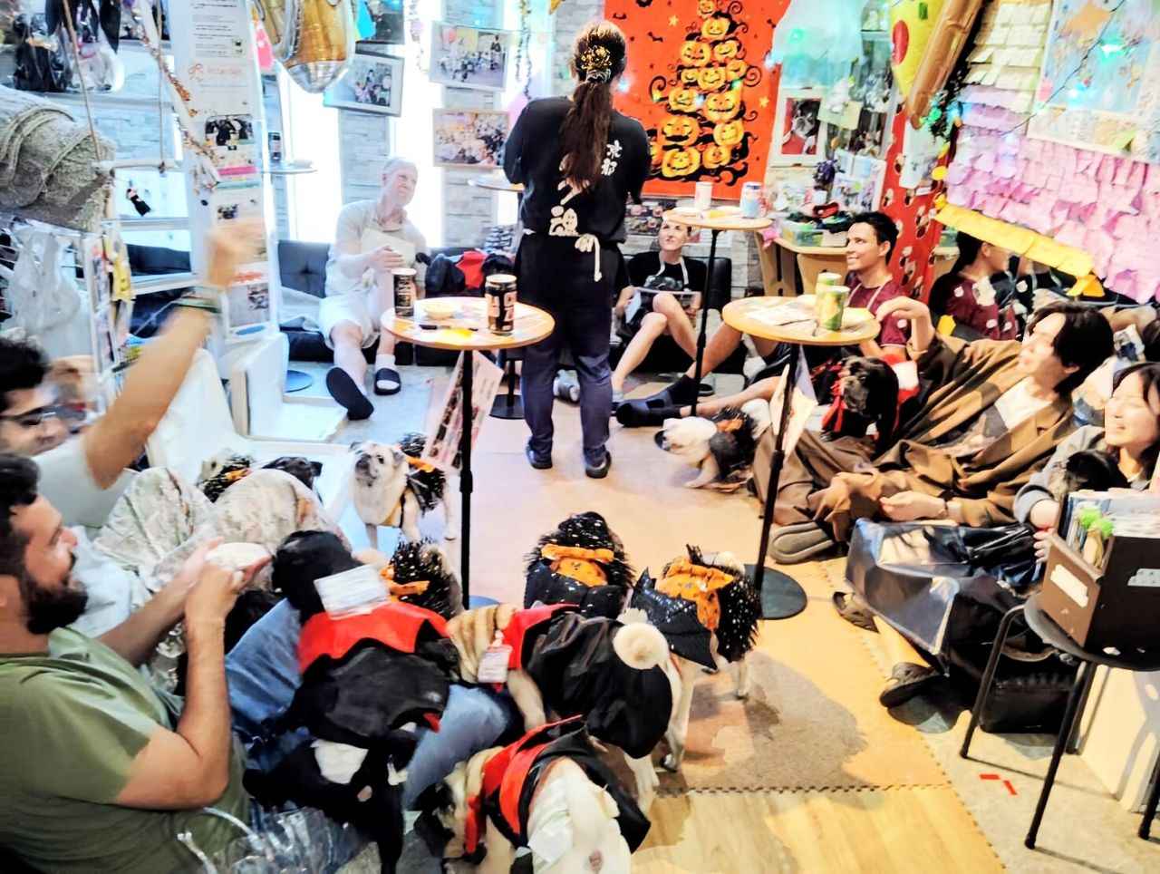 画像3: 京都のおすすめ犬カフェ5選。豆柴や大型犬と癒やしのひとときを