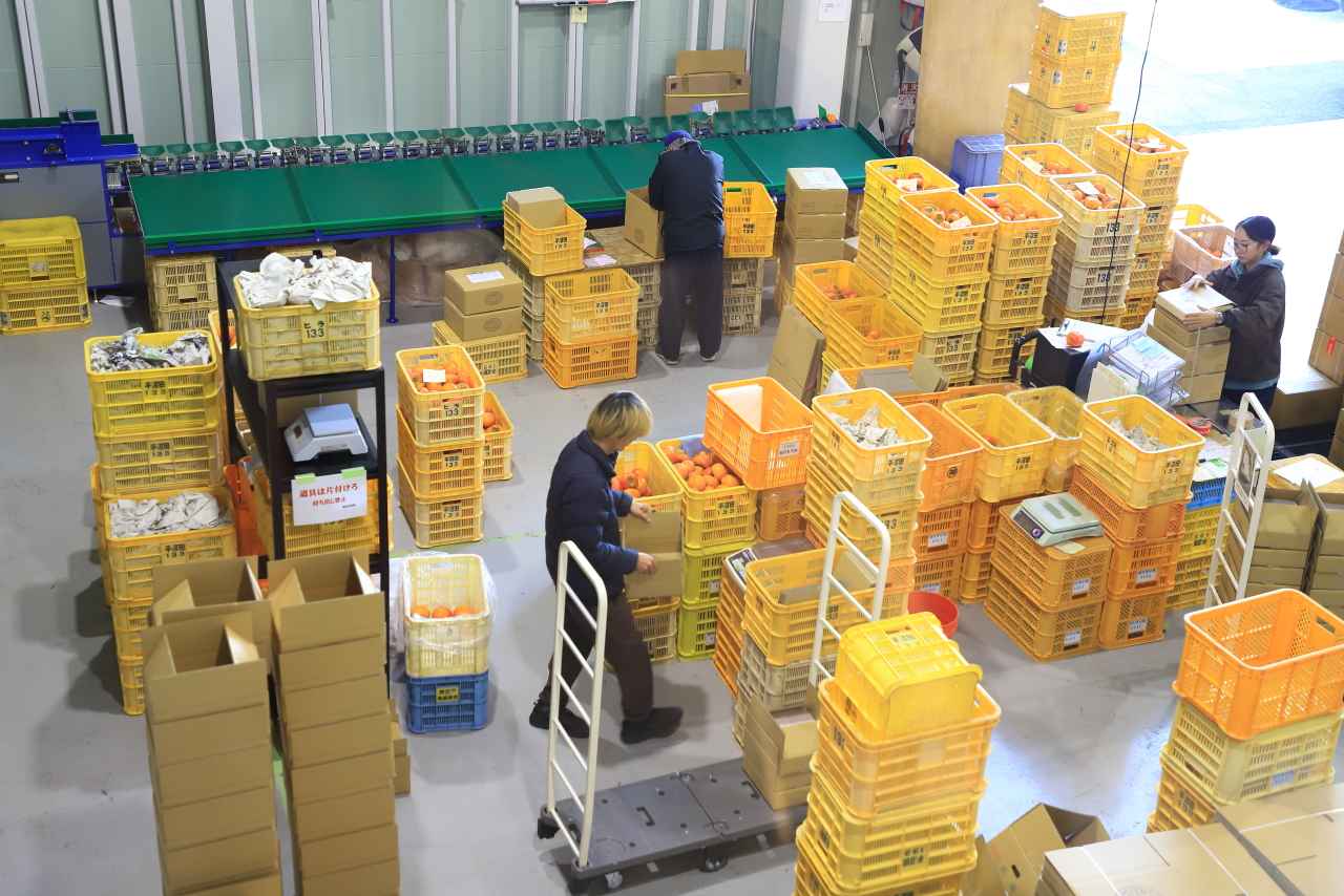 画像: 生産者の手仕事を間近に見られるカフェでランチやスイーツを満喫