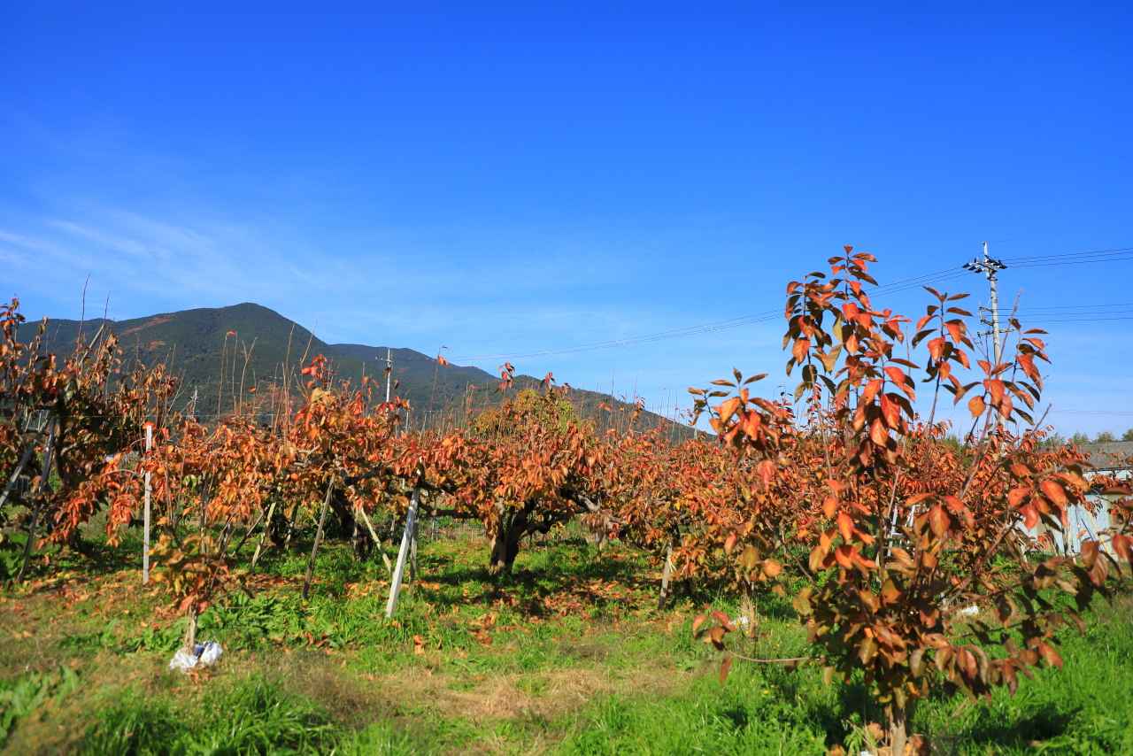 画像: 「生産地だからこそ」の体験を楽しんでほしい