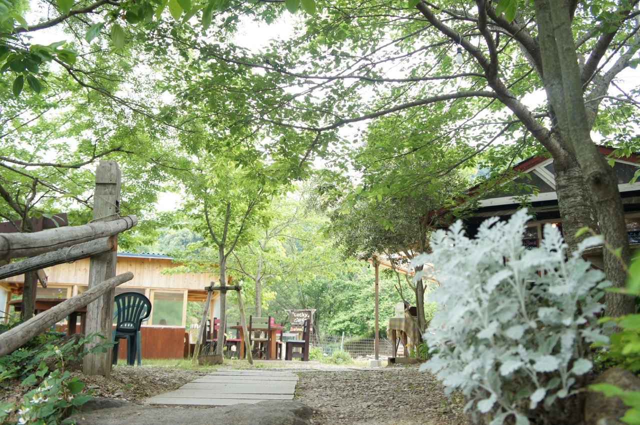 画像: 奈良のおすすめドライブスポット13選！夜景、秘境など絶景スポットや、カフェ、グルメを厳選