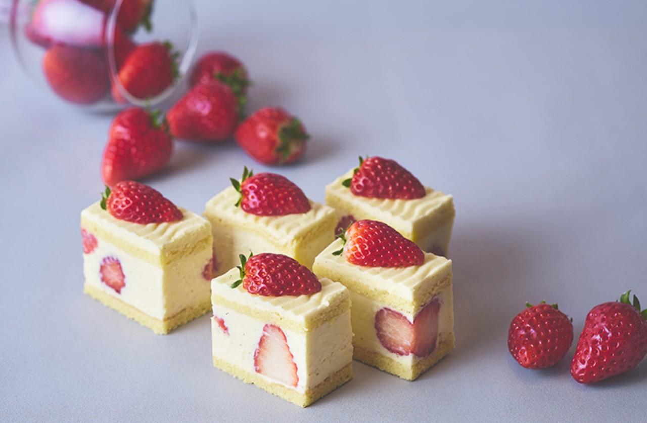 画像3: 【週末どこいく？】甘いワクワクが止まらない。冬の関西おでかけトピックス