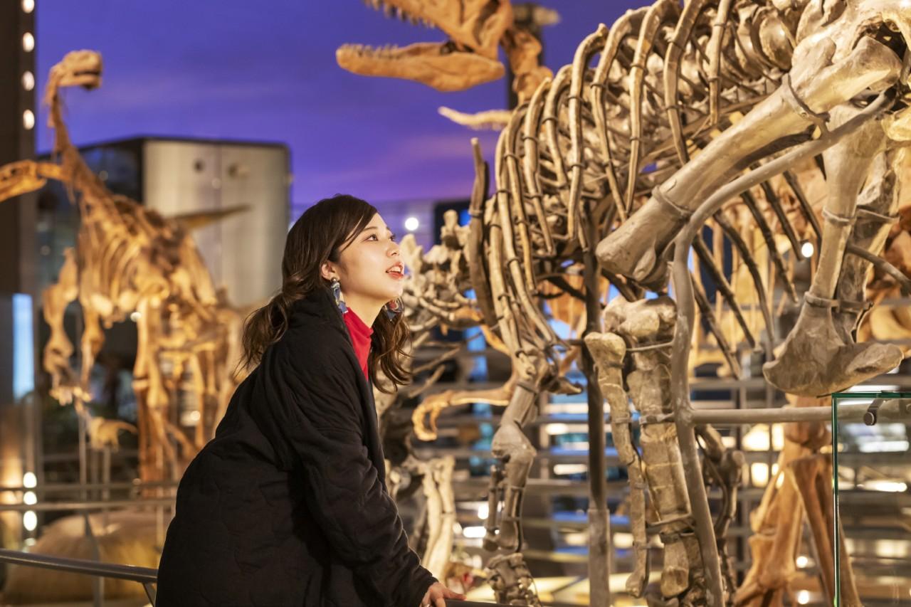 画像3: 圧倒的スケール!福井の顔「福井県立恐竜博物館」