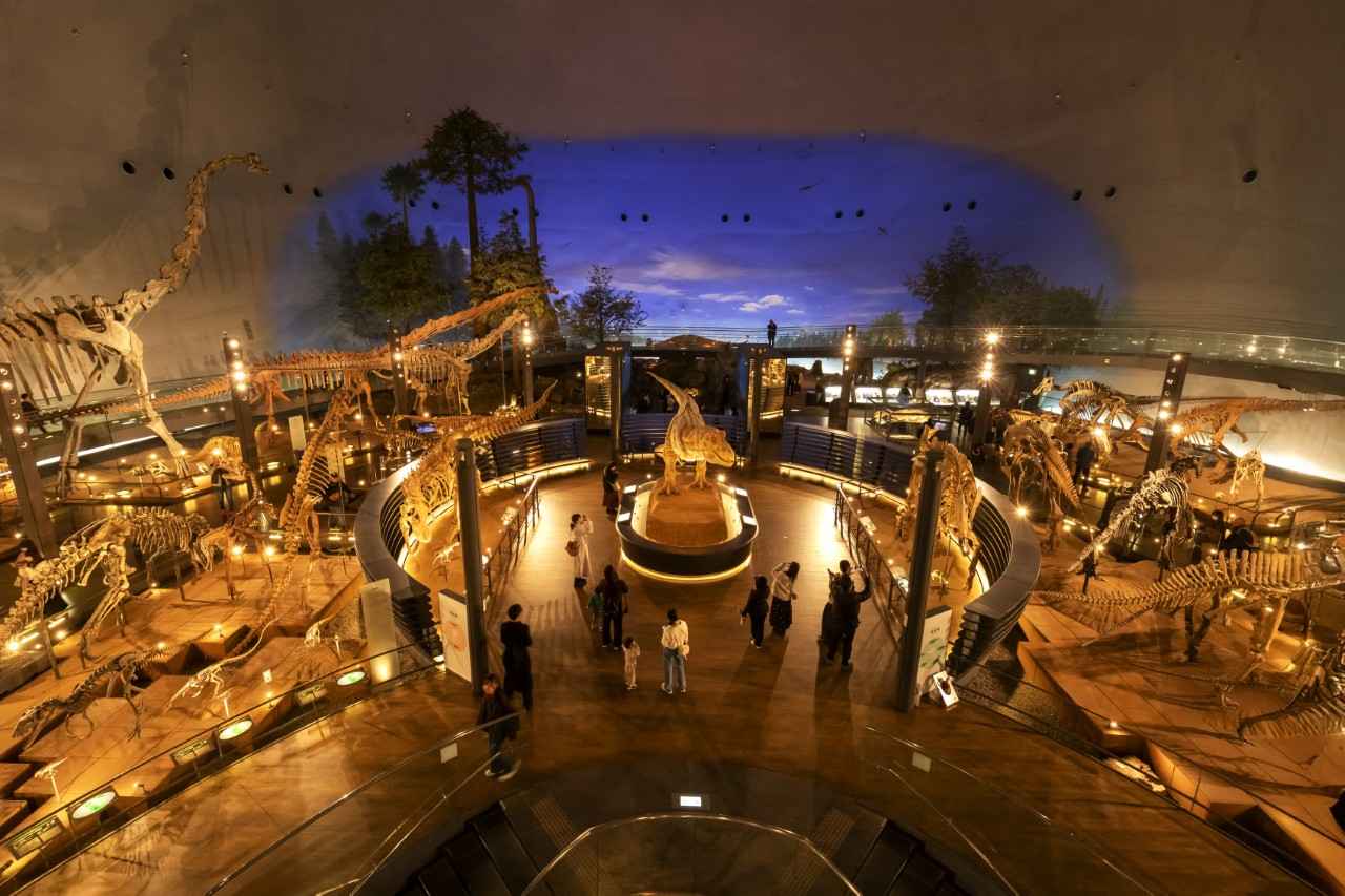 画像: 館内を一望できる2階からの眺め。恐竜たちに囲まれるようなスケール感が味わえます