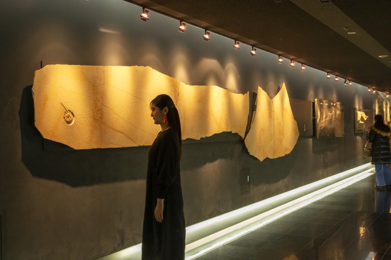 画像: 展示室へと続く通路に並ぶ化石展示