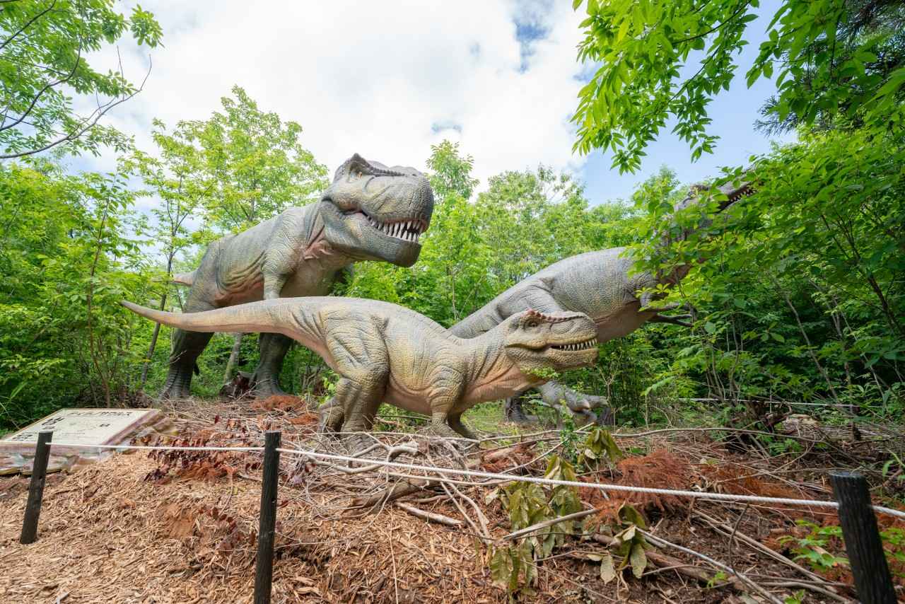 画像2: 歩くたびに恐竜が現れる!“没入ウォーク”が楽しめる「かつやまディノパーク」へ