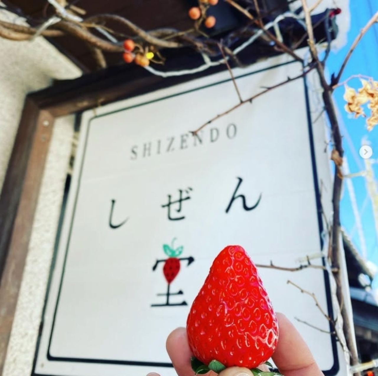 画像2: ⑩自家農園はじめ生産者直送の果物スイーツが味わえる古民家フルーツパーラー。「しぜん堂」