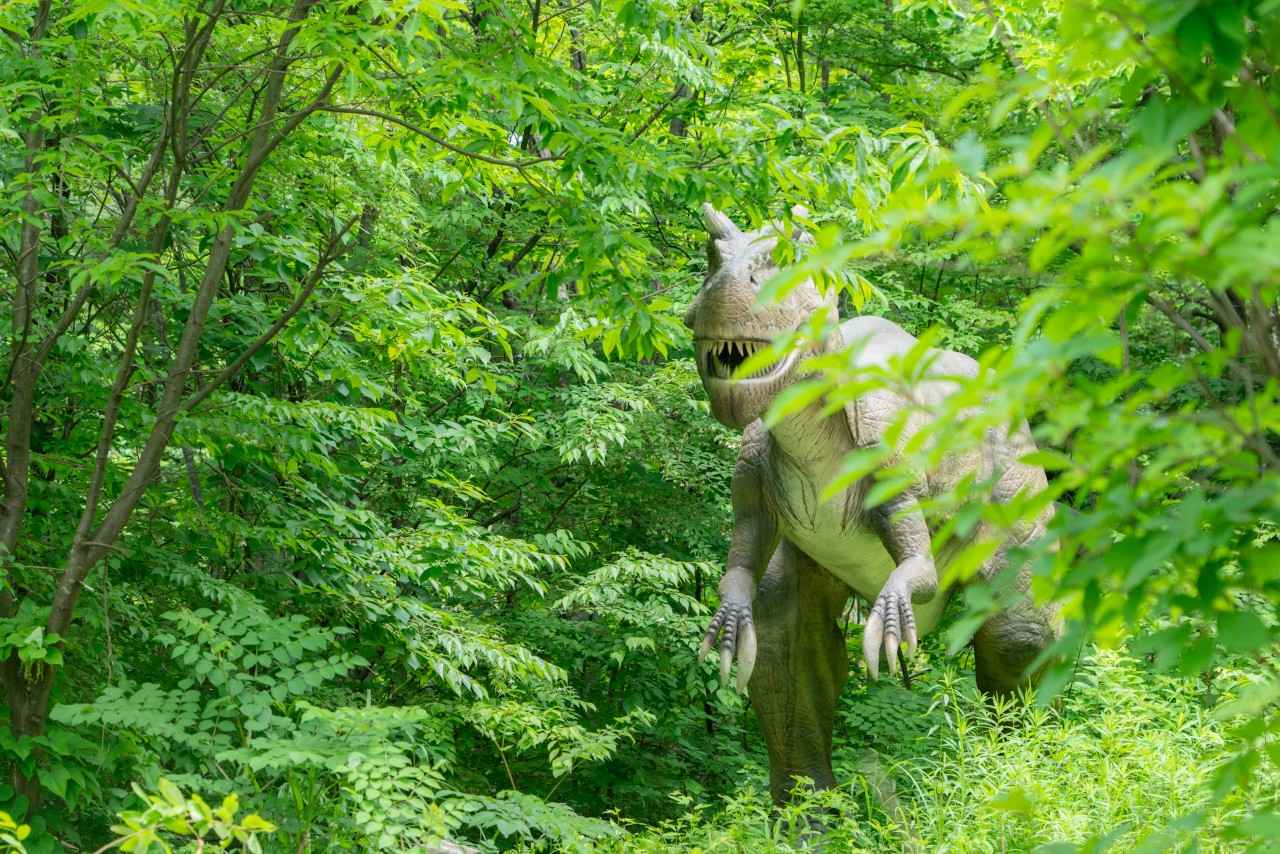 画像18: 福井の魅力を再発見!かんでんWITH YOU編集部がフェリシモ福井部と巡るローカル旅