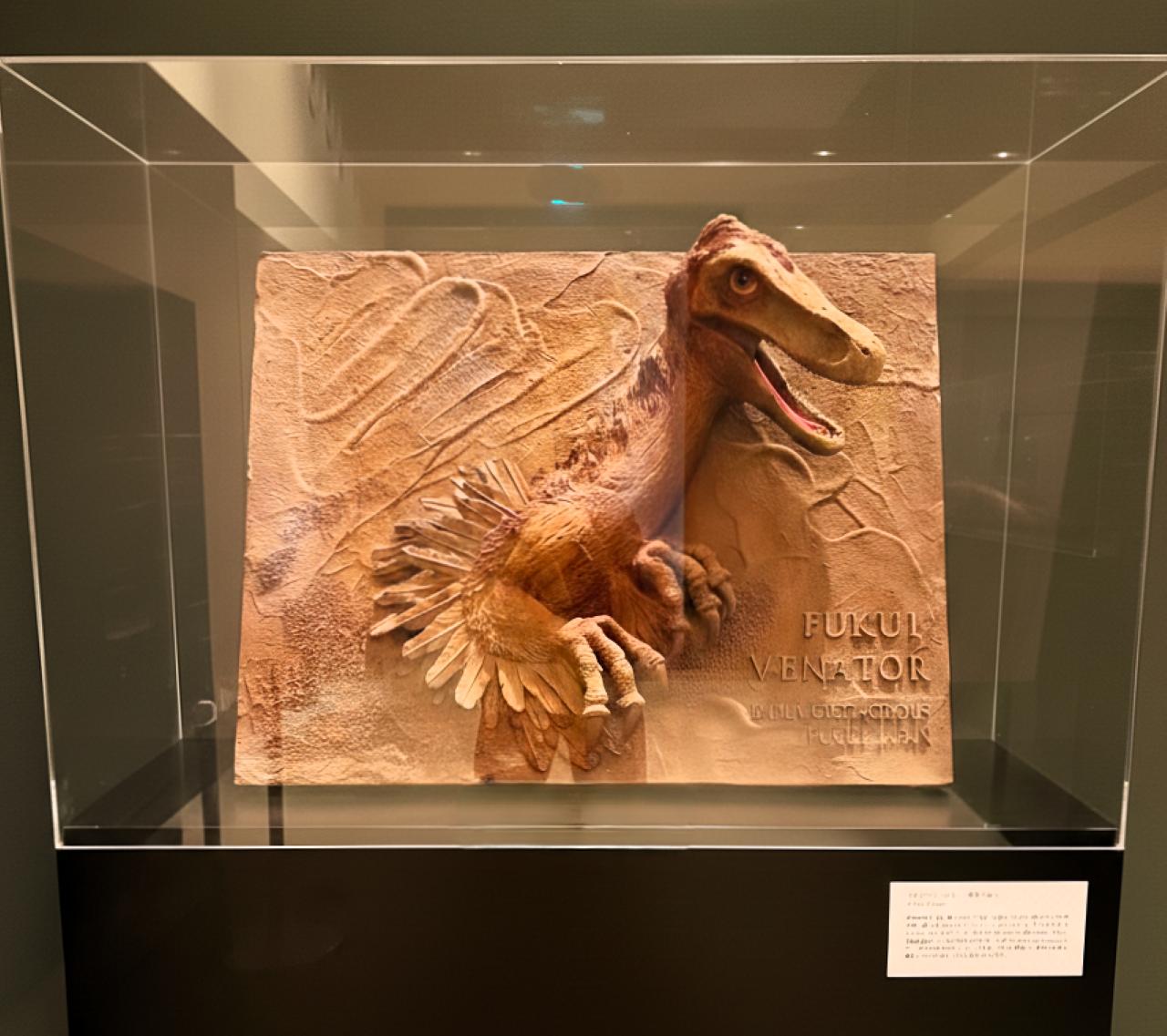 画像10: 福井の魅力を再発見!かんでんWITH YOU編集部がフェリシモ福井部と巡るローカル旅