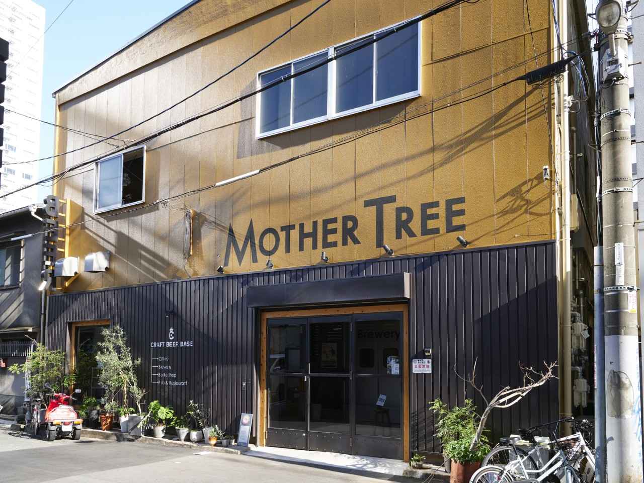 画像1: 【梅田】MOTHER TREE｜関西最大級！醸造所併設のブルーパブ＆ボトルショップ