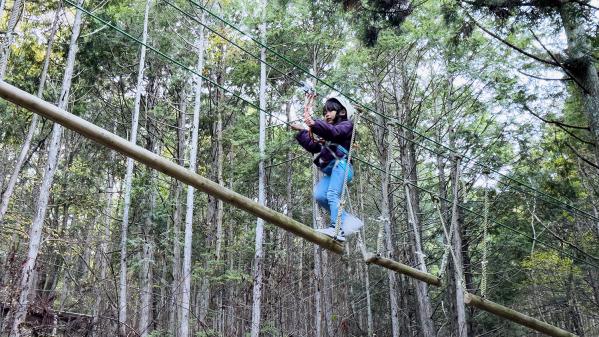 画像3: 【能勢町】500m超のロングジップが目玉の森自然アドベンチャー「ボウケンノモリ のせ」