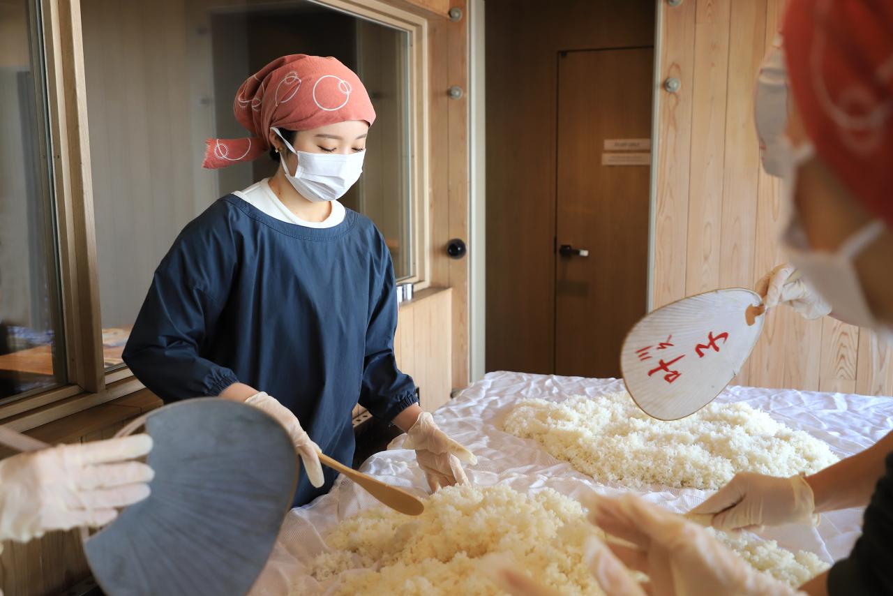画像2: 神聖な麹づくりをガラス張りの空間で気軽に体験