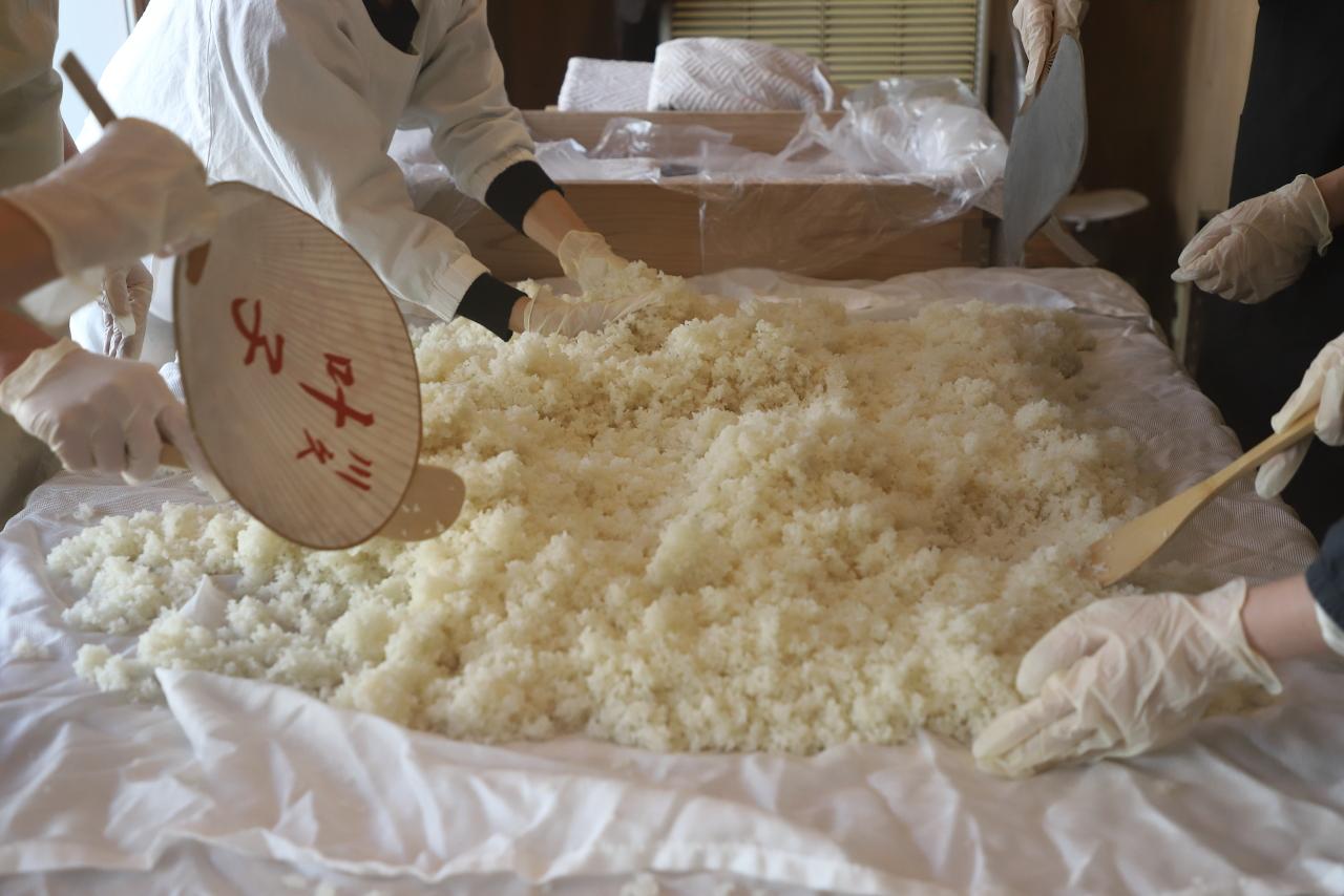 画像: 参加者たちと一緒に、麹菌をふりかけながら、お米全体にいきわたるよう丁寧に混ぜていきます