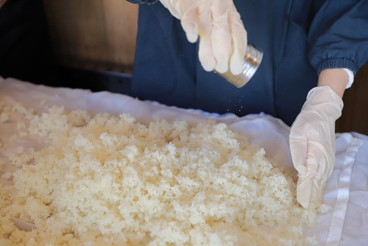 画像: 麹菌をふりかけている様子