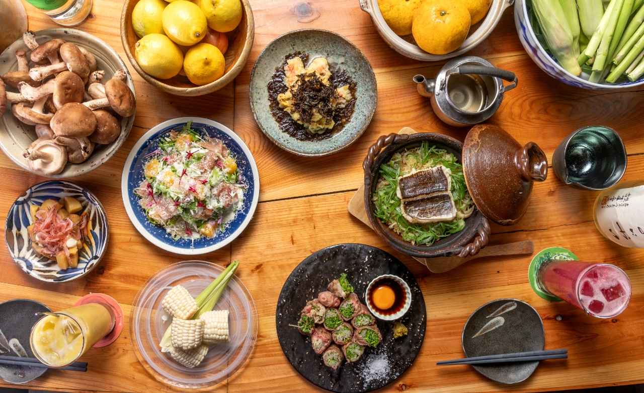 画像1: 【ディナー】自家農園野菜が主役のおばんざい酒場|煮野菜 おにかい