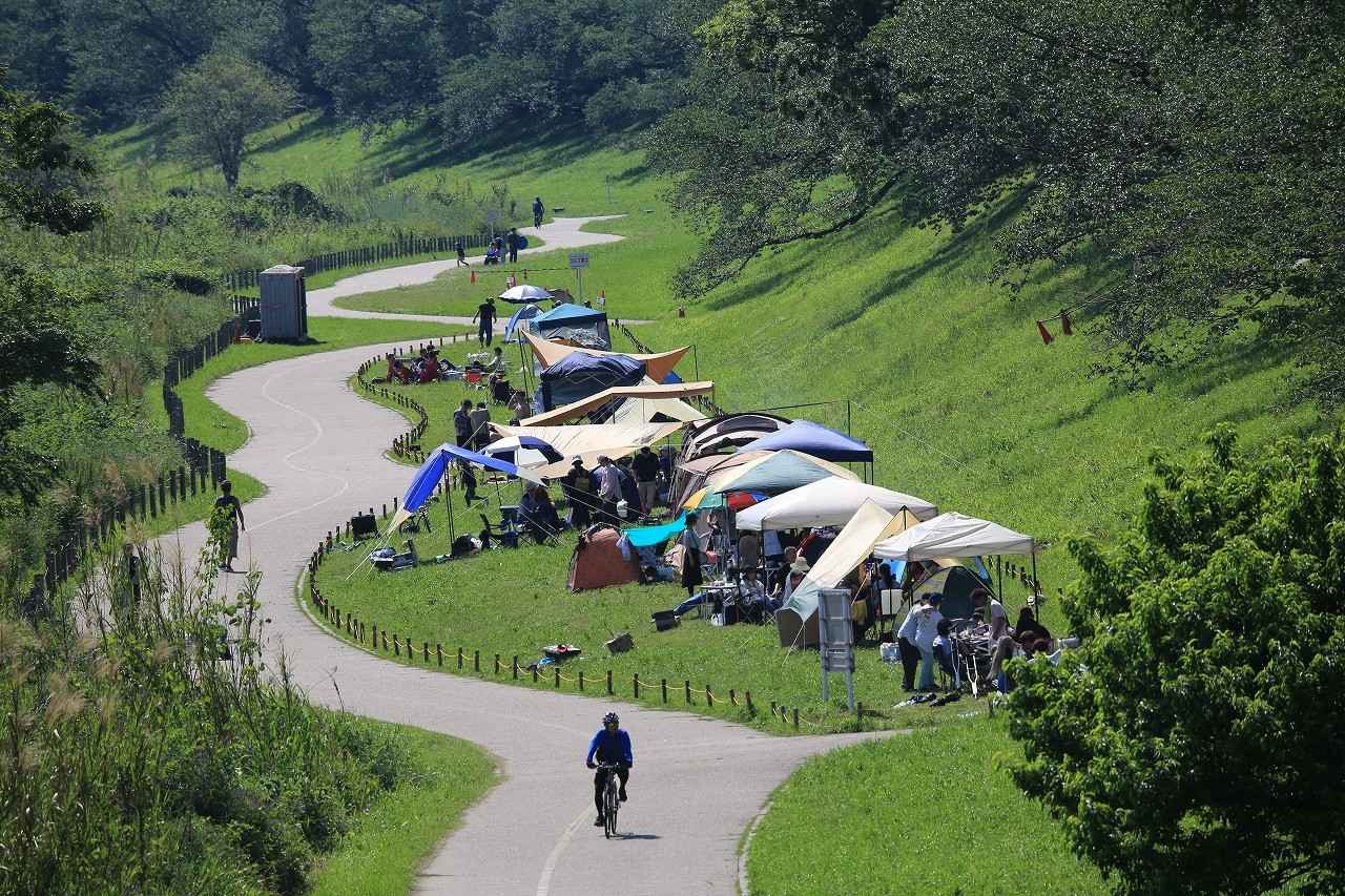 画像: 背割堤地区