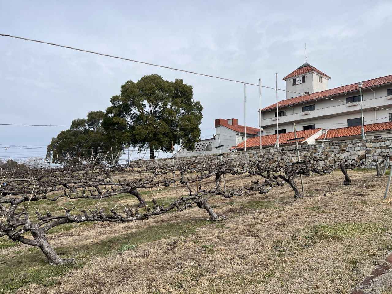 画像15: 神戸の公園9選！たっぷり遊べる公園を厳選。遊具・駐車場・設備情報まとめ