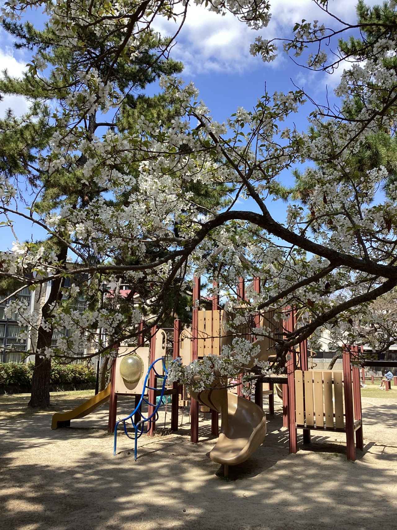 画像30: 神戸の公園9選！たっぷり遊べる公園を厳選。遊具・駐車場・設備情報まとめ