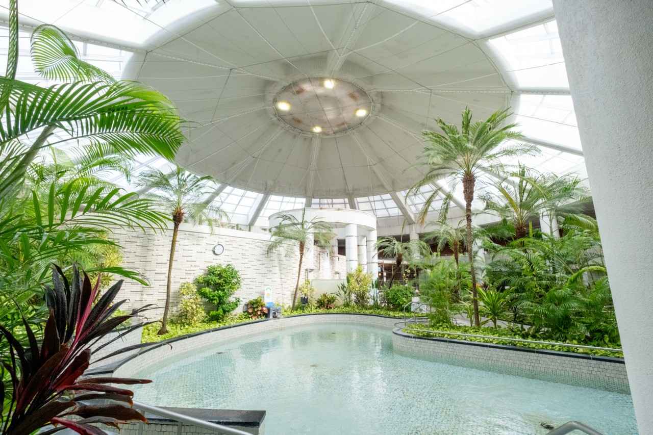 画像: ジャングル温泉しあわせの湯