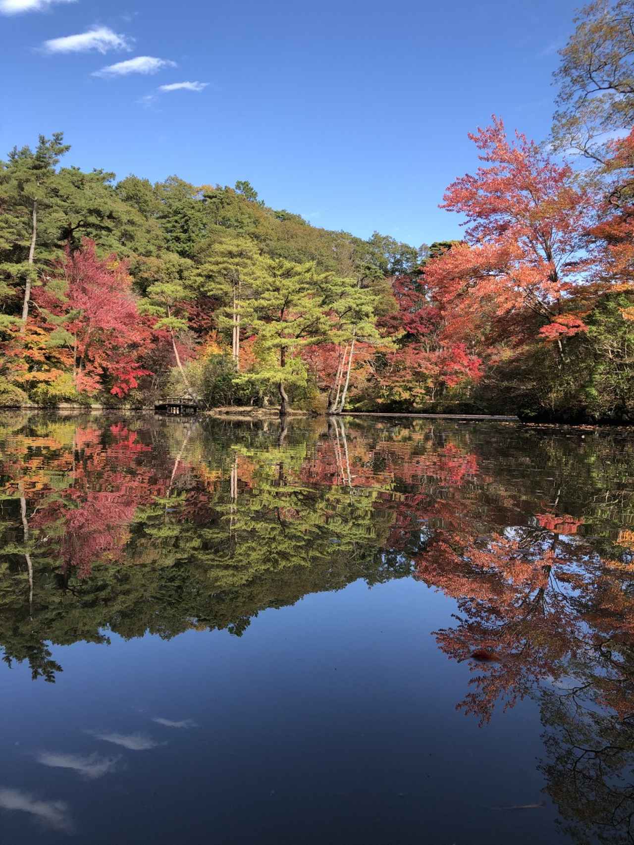 画像17: 神戸の公園9選！たっぷり遊べる公園を厳選。遊具・駐車場・設備情報まとめ