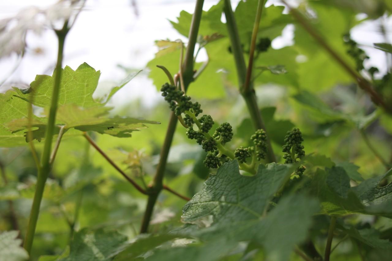 画像14: 神戸の公園9選！たっぷり遊べる公園を厳選。遊具・駐車場・設備情報まとめ
