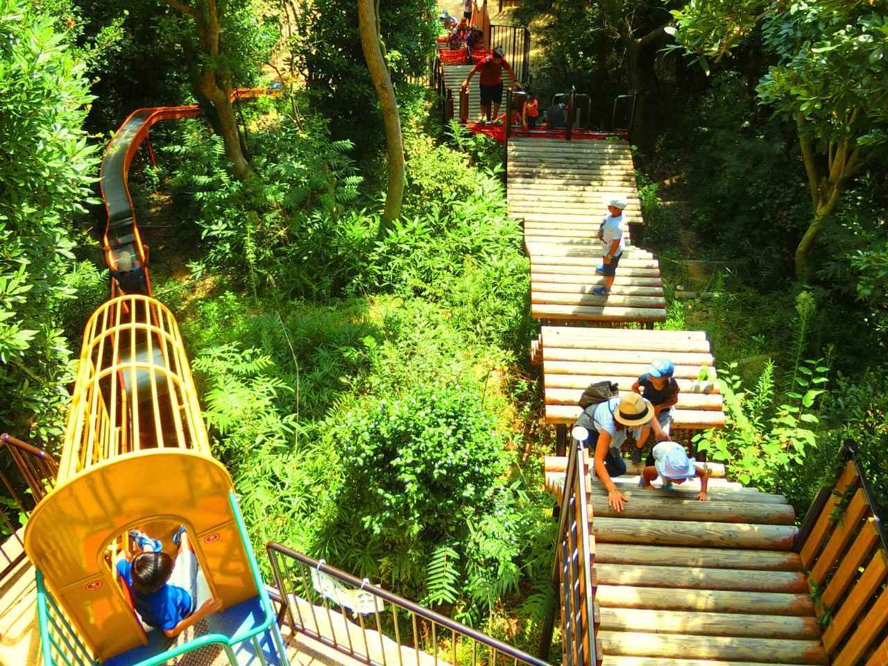 画像: 神戸市立須磨離宮公園｜バラ園とアスレチックが人気