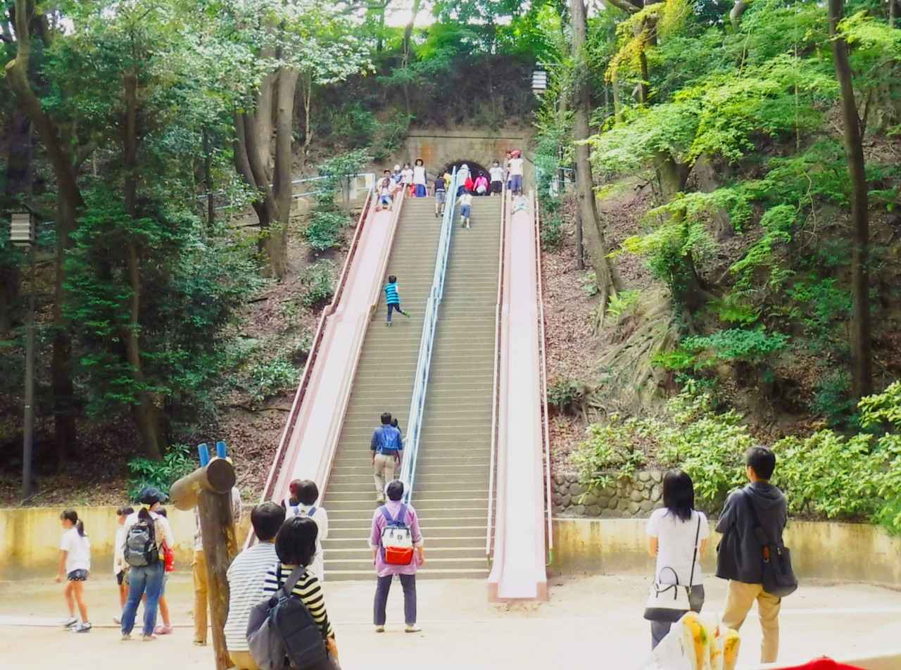 画像: スリル満点のすべり台に大人も子どももワクワク