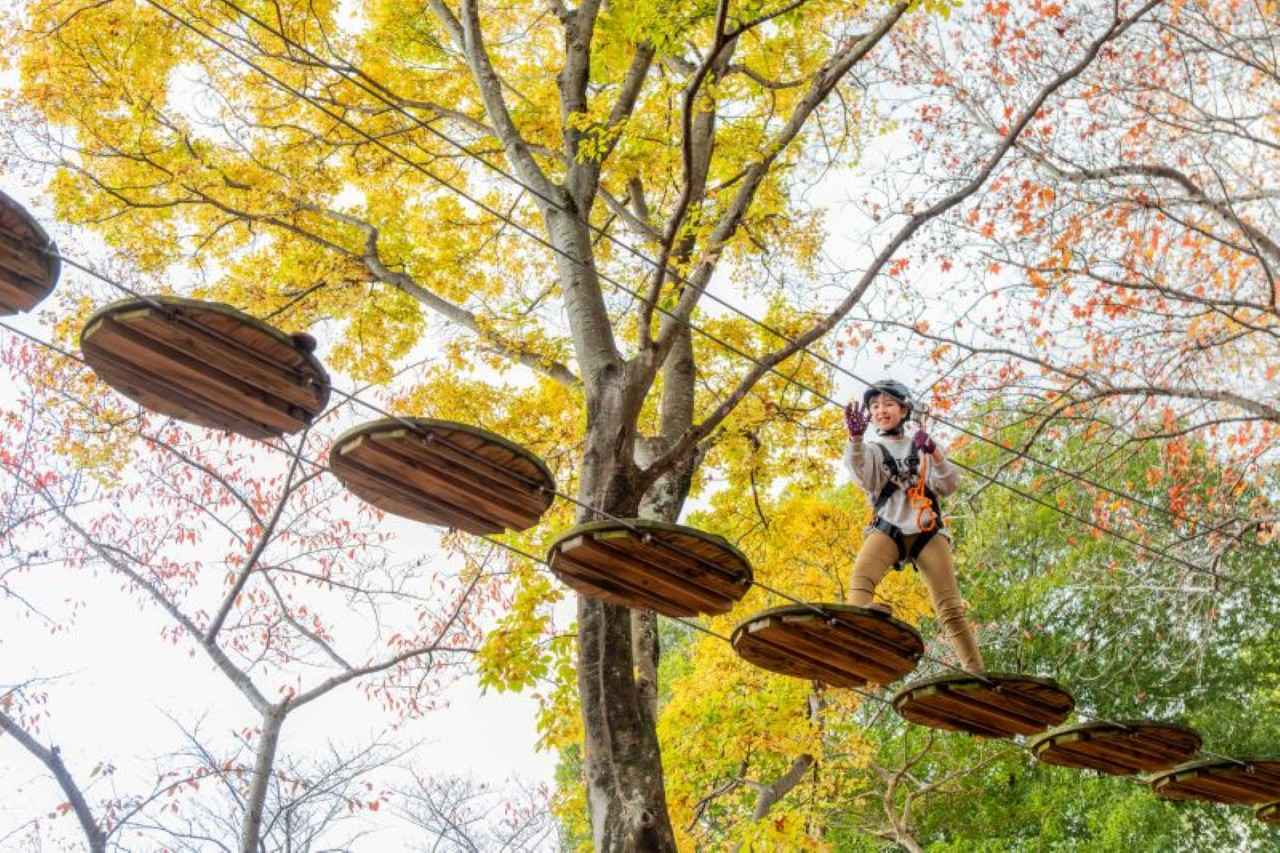 画像: 「ボウケンノモリ」のアスレチック