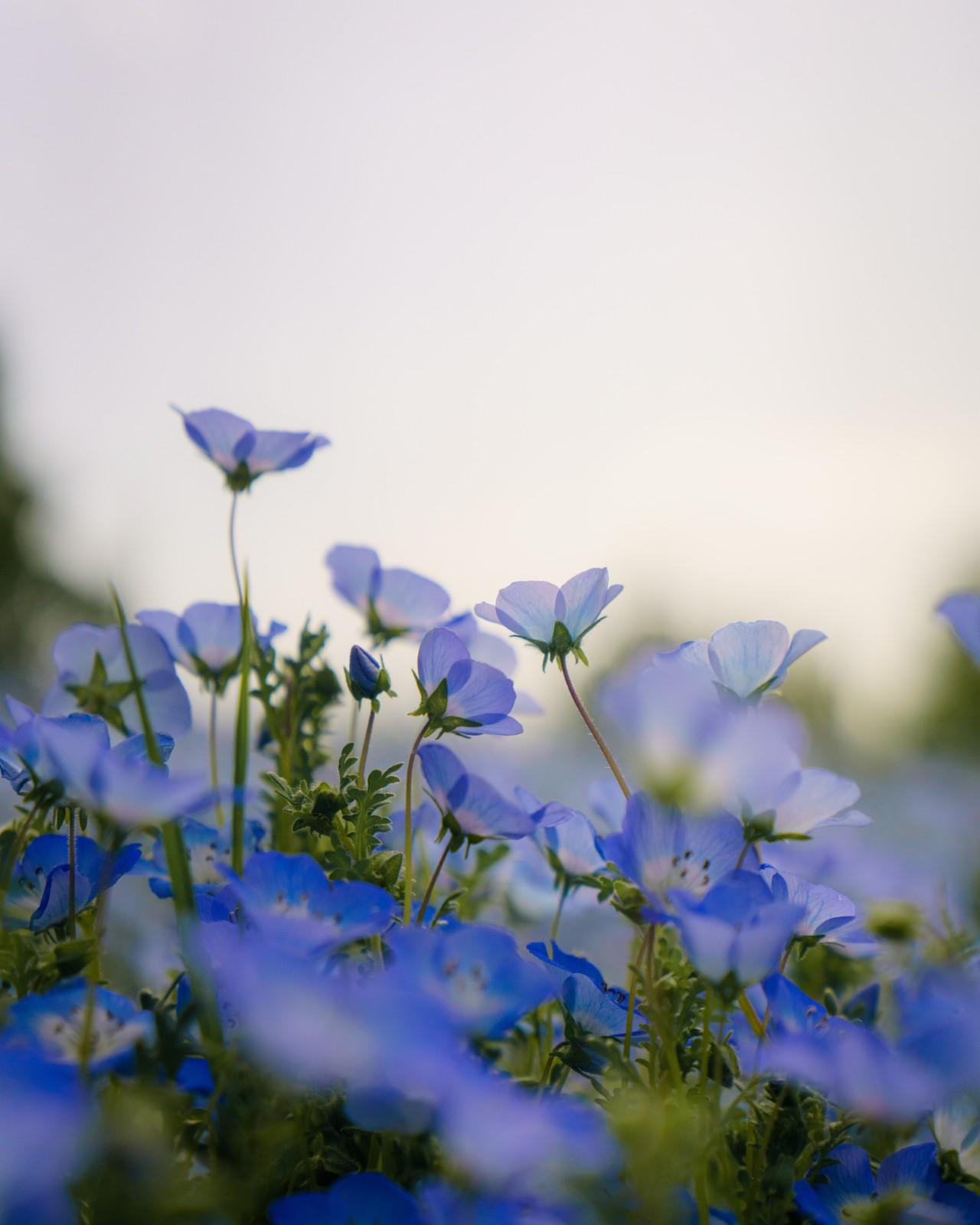 画像12: 神戸の公園9選！たっぷり遊べる公園を厳選。遊具・駐車場・設備情報まとめ
