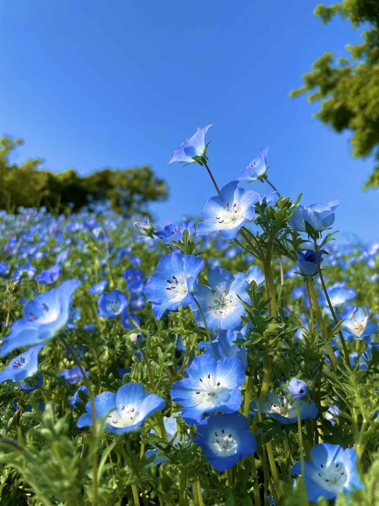 画像11: 神戸の公園9選！たっぷり遊べる公園を厳選。遊具・駐車場・設備情報まとめ