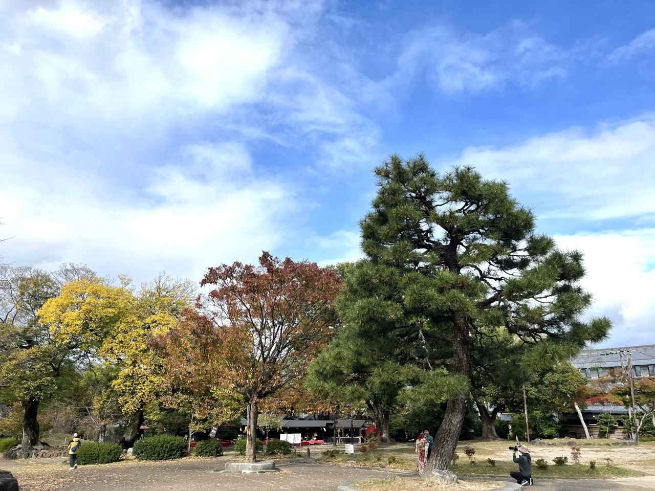 画像14: 京都のおすすめピクニックスポット8選。近くの絶品テイクアウトグルメもご紹介