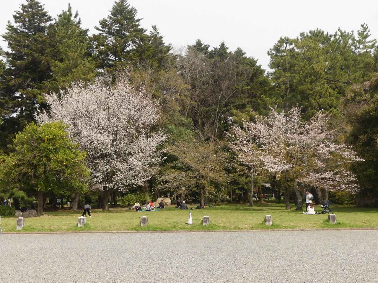 画像: 春の様子 【環境省京都御苑管理事務所】