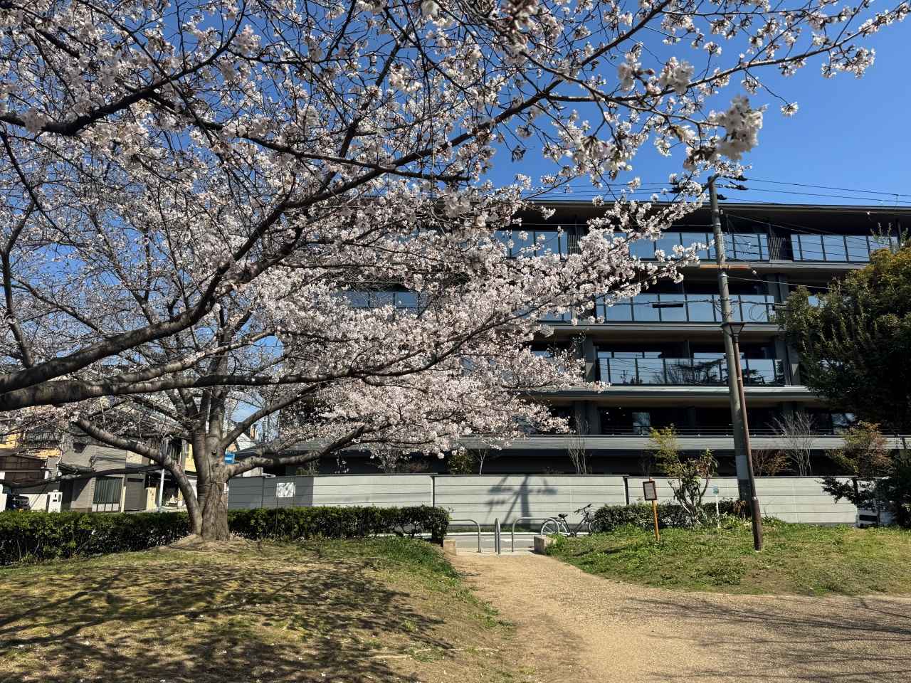 画像8: 京都のおすすめピクニックスポット8選。近くの絶品テイクアウトグルメもご紹介