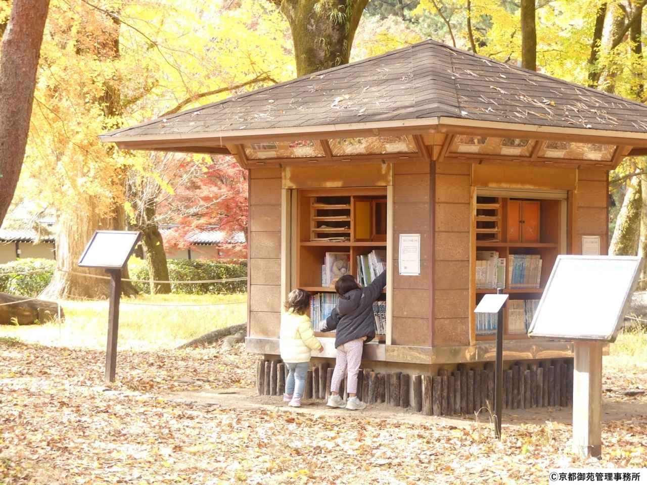 画像: 「母と子の森」内にある「森の文庫」