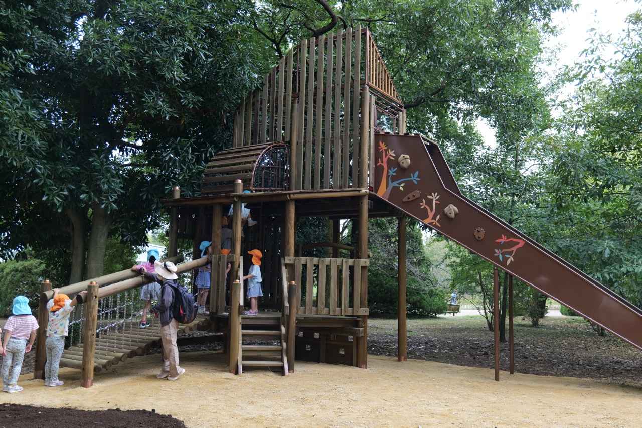 画像: どんぐりの森