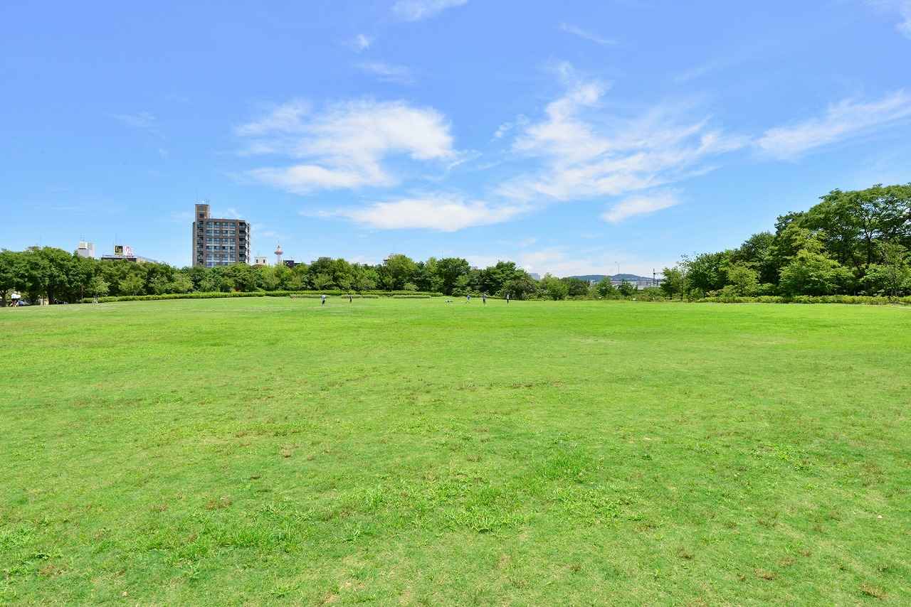 画像: 【京都駅周辺】梅小路公園｜京都駅徒歩圏でアクセス抜群。ピクニックも観光も楽しめる