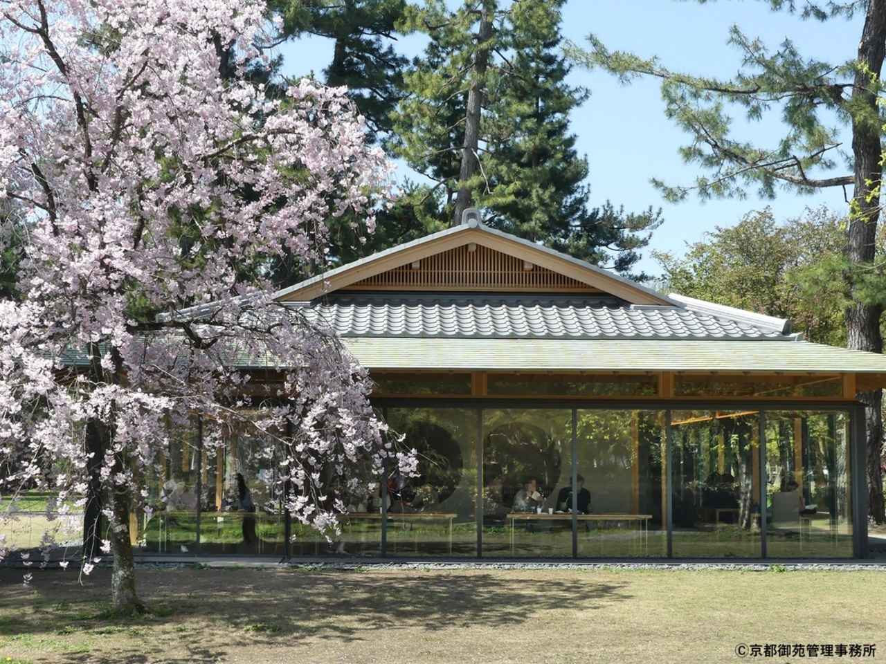 画像1: 京都のおすすめピクニックスポット8選。近くの絶品テイクアウトグルメもご紹介