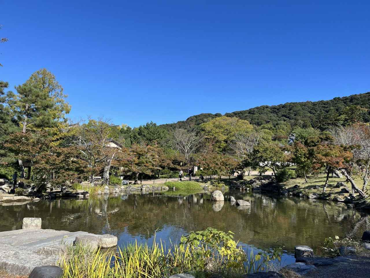 画像: 【東山周辺】円山公園｜祇園散策とあわせて京都らしい「和の空間」を楽しむ