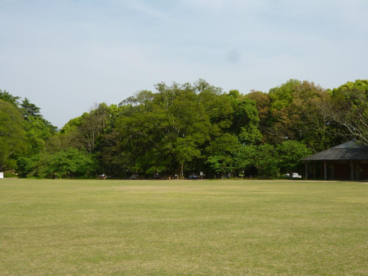 画像3: 京都のおすすめピクニックスポット8選。近くの絶品テイクアウトグルメもご紹介