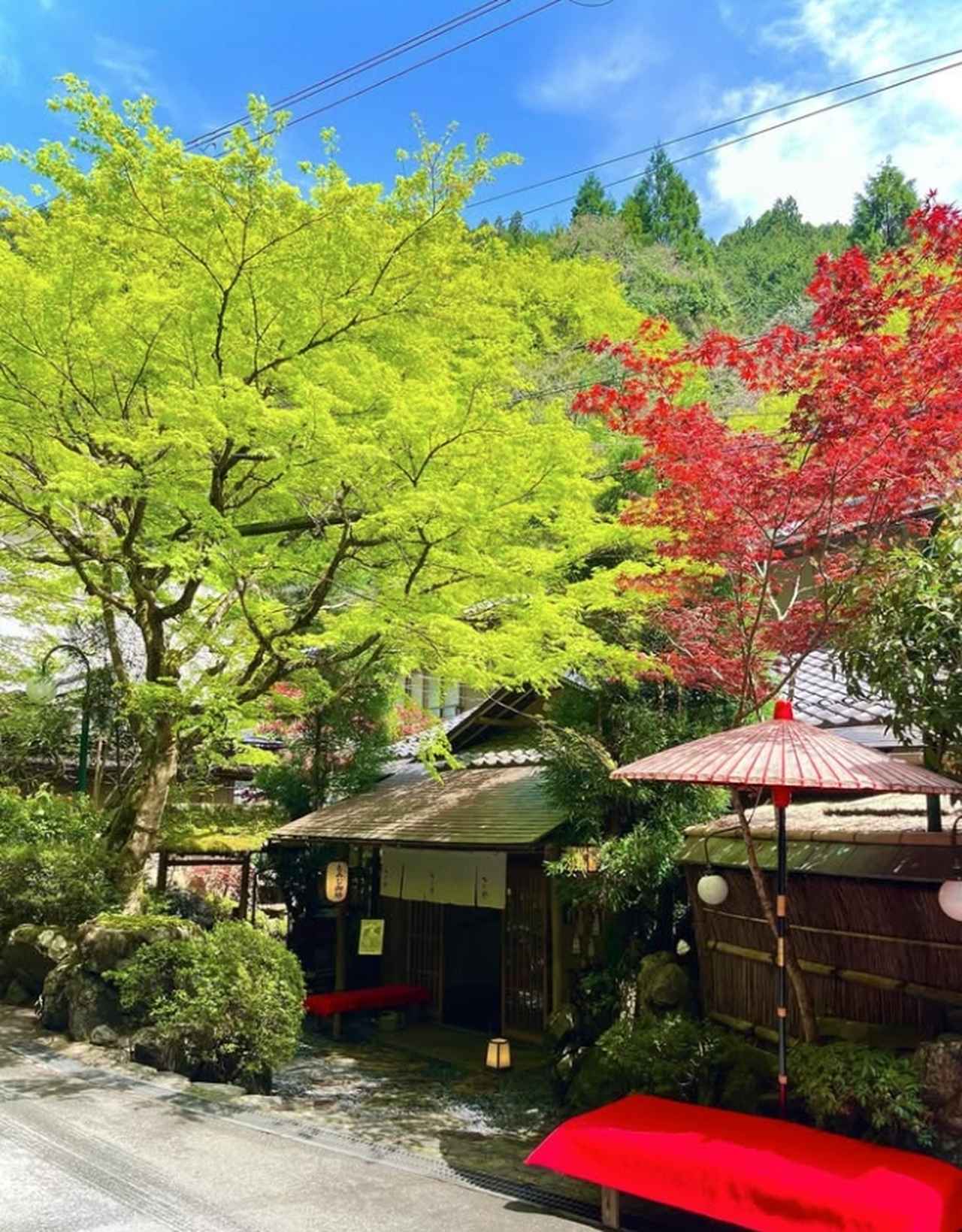画像11: 【京都・貴船】川床ランチ8選！シーン別おすすめ人気店完全ガイド