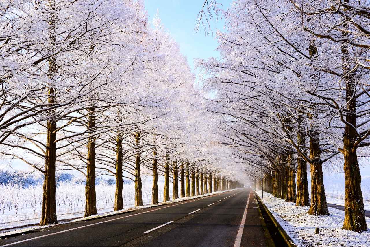 画像6: 琵琶湖で大人が遊ぶところ10選。体験・絶景・アートで“心が満ちる”休日を