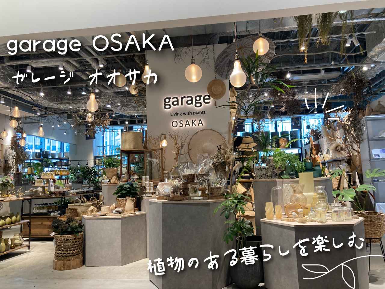 画像: ②garage OSAKA【大阪・梅田】｜植物とインテリアが融合した、心ときめく部屋づくり