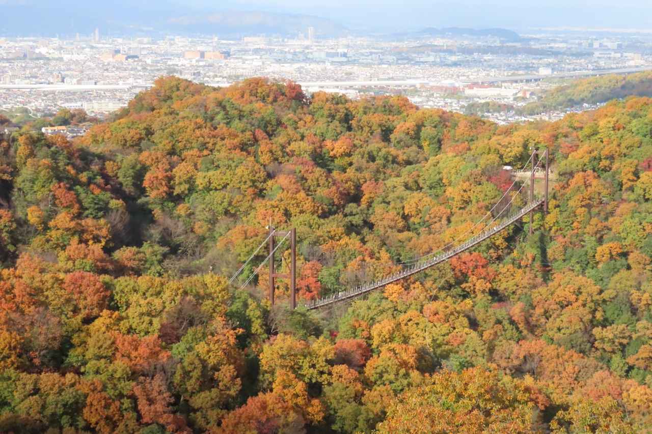 画像17: 関西の日帰りドライブスポット10選。絶景・グルメ・穴場で“心を整える”大人の休日